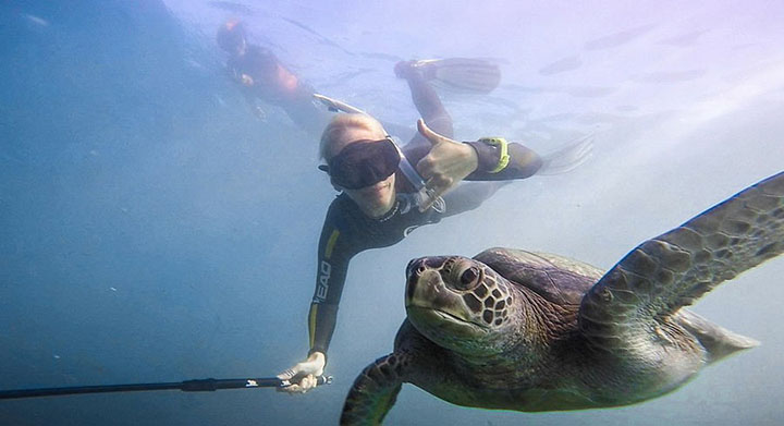 海底拍摄乌龟