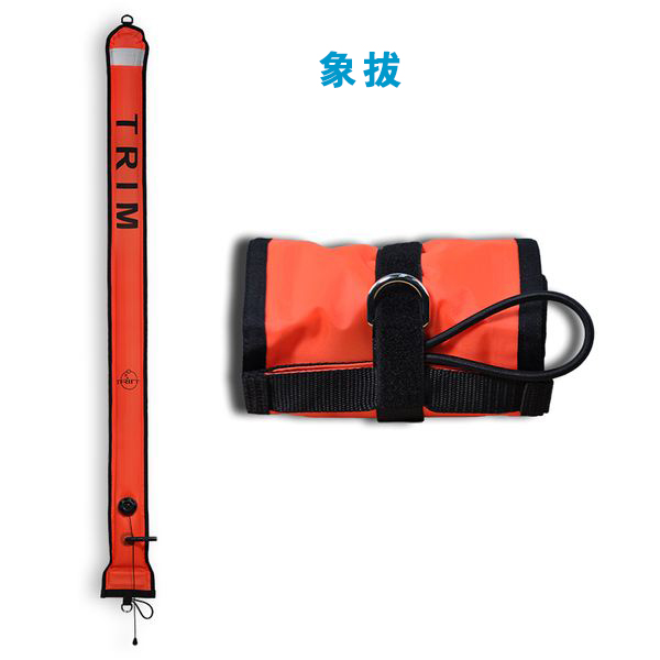 潜水象拔 潜水象拔
