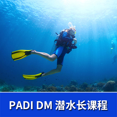 PADIǱˮγDive Master