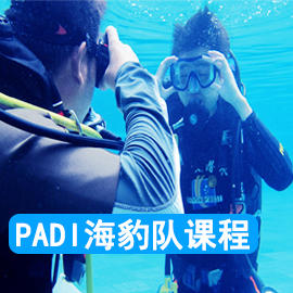 PADI海豹队学习潜水课程