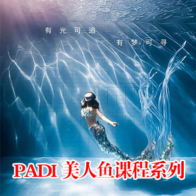 PADI ϵпγ